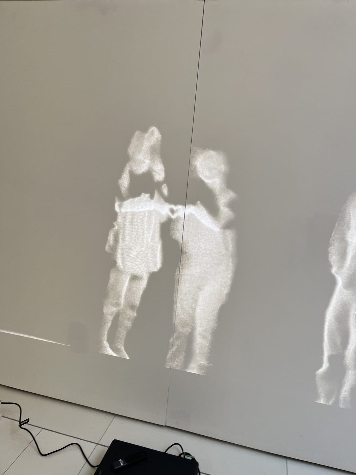 Picture from project installation