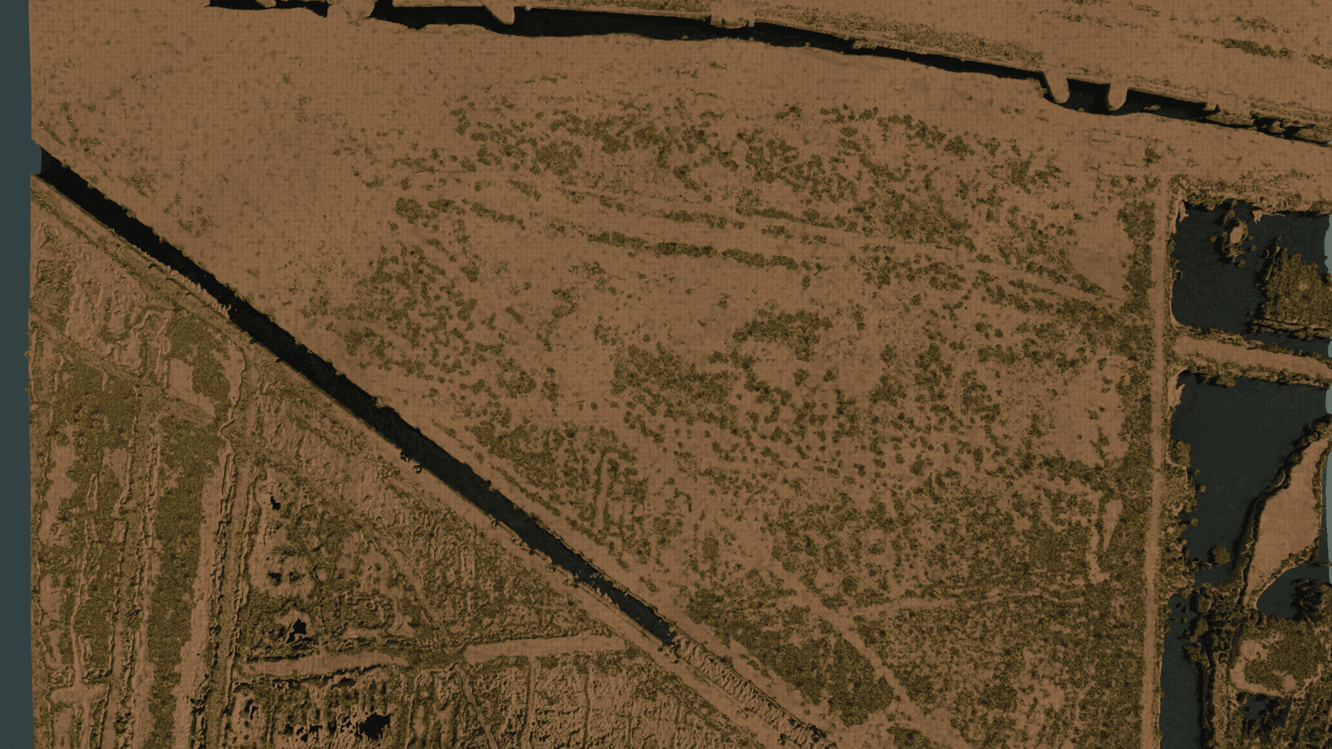 Procedural vegetation scattered across the reconstructed terrain