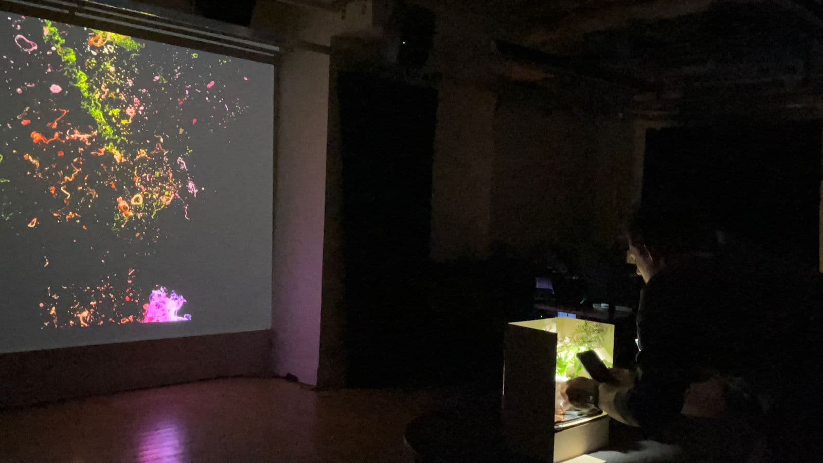 Audience interaction with installation